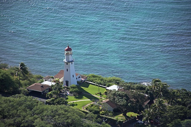 봄시즌 하와이 오하우섬, 호놀룰루 여행 (꽃축제, 봄날씨, 투어)