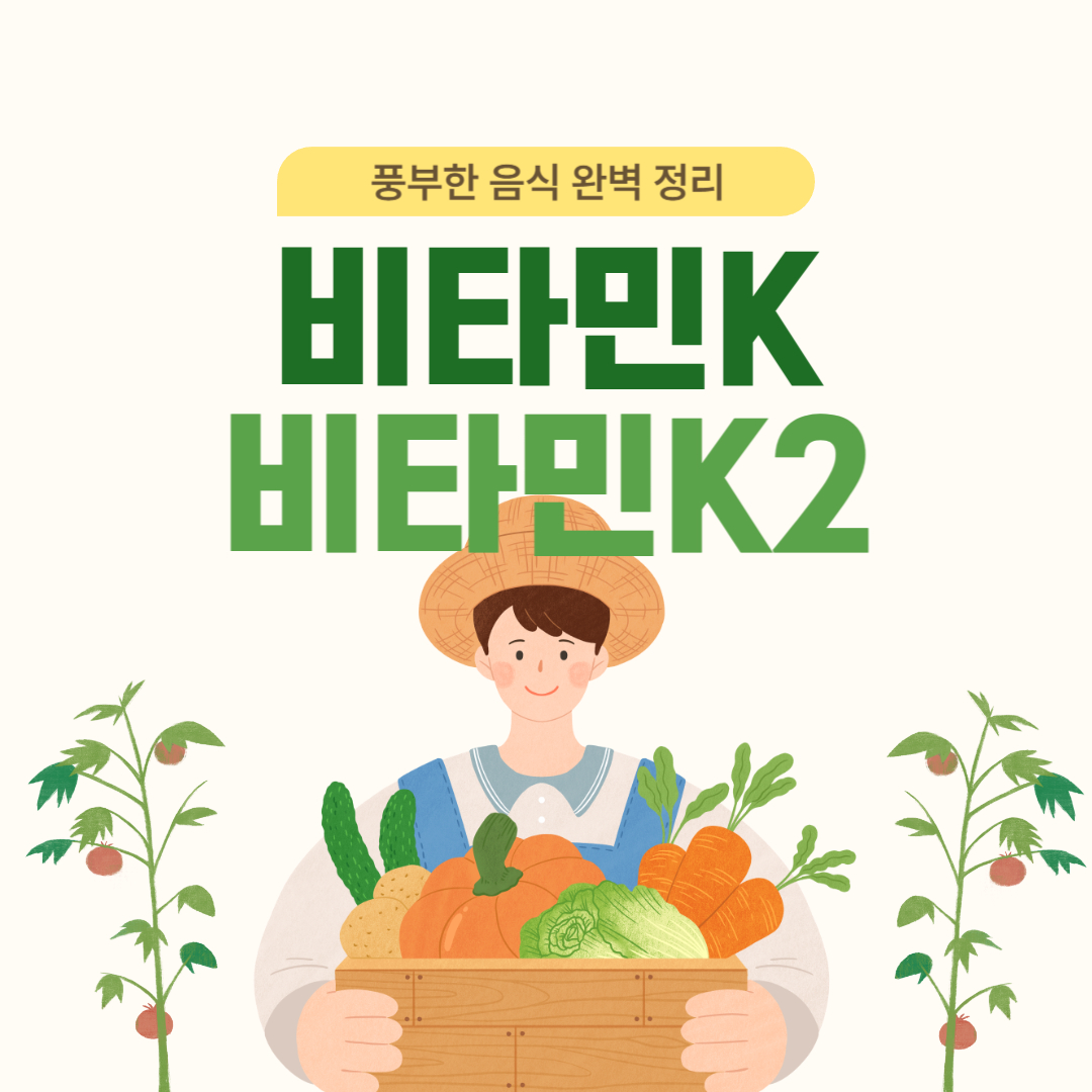 비타민 K2 많은 음식과 비타민 K 음식 완벽 정리