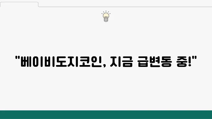 최적의 베이비도지코인 시세 확인 방법