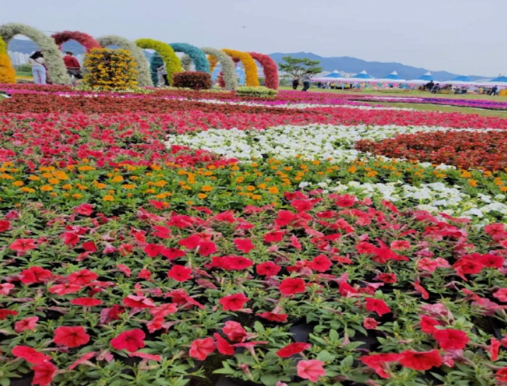 김해 벚꽃 명소