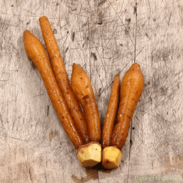 다이어트에 효과적인 핑거루트