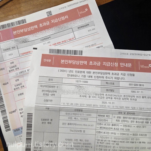 본인부담상한액 초과금 지급신청 안내문