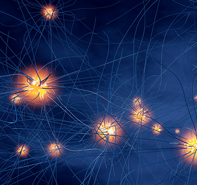 sk바이오팜 주가