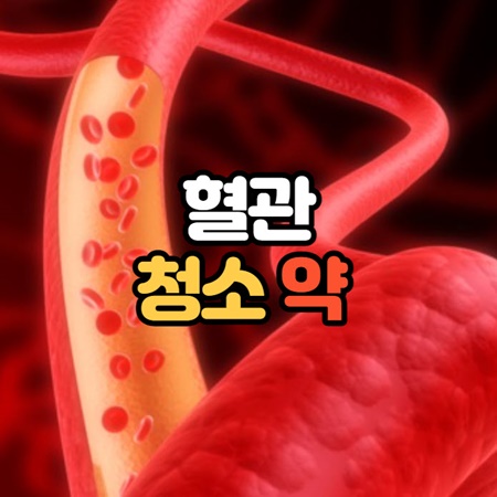 혈관 청소하는 약