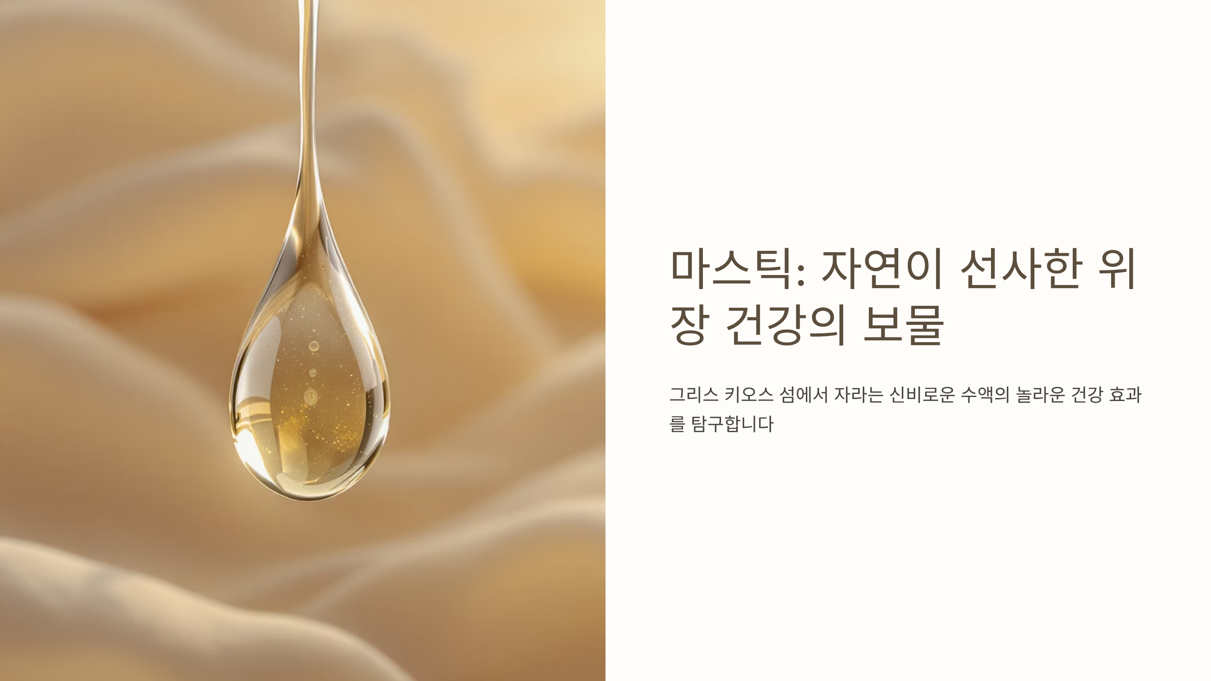 마스틱 효능과 위장 건강 개선법