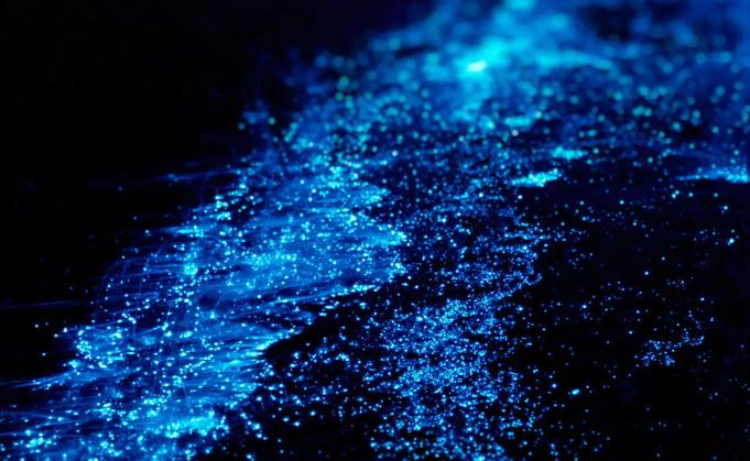 플랑크톤 때문에 반짝이는 바다