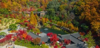 화담숲 입장료 할인 받는 법부터 예매 꿀팁까지는 총정리_31