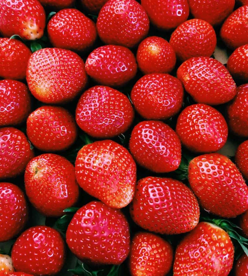 이석증에 좋은 음식