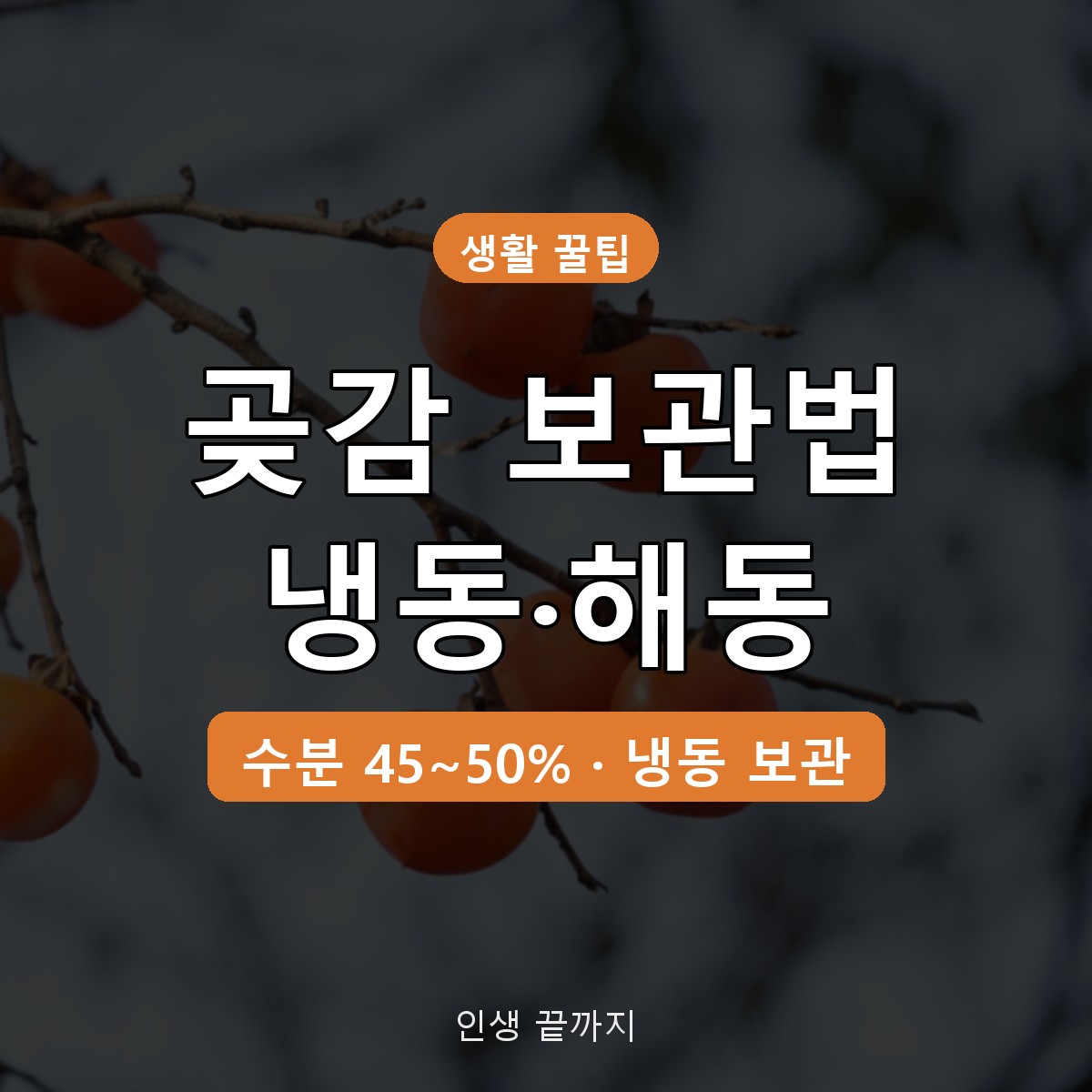 곶감 보관법 반건시&middot;건시 냉동 보관과 해동 방법 총정리