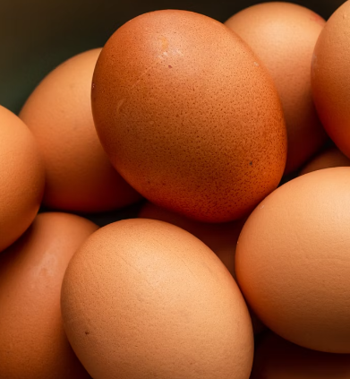 빈혈에 좋은 음식 : 계란