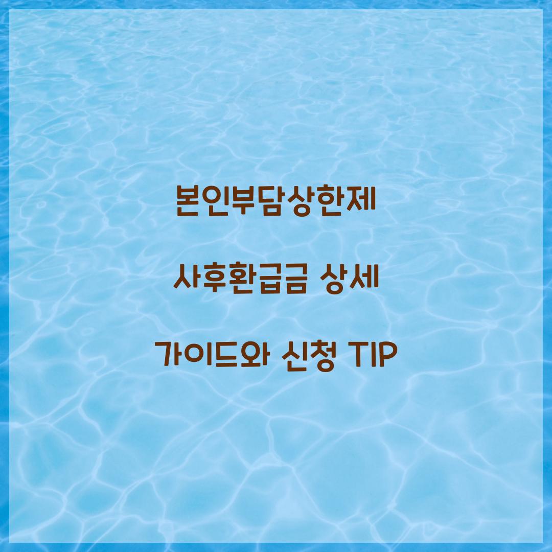 본인부담상한제 사후환급금