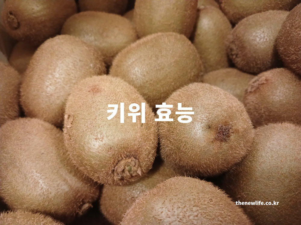 키위 효능 대표 실사진