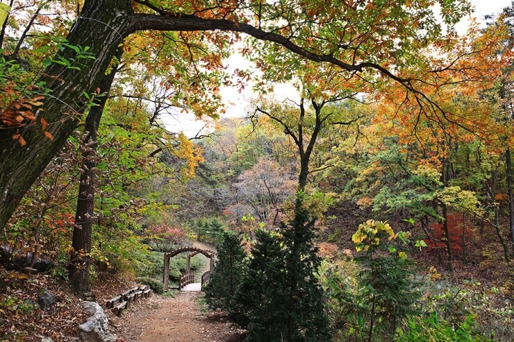 수원·용인 단풍 명소 BEST 5 : 광교호수공원·수원화성·용인민속촌·에버랜드·용인자연휴양림