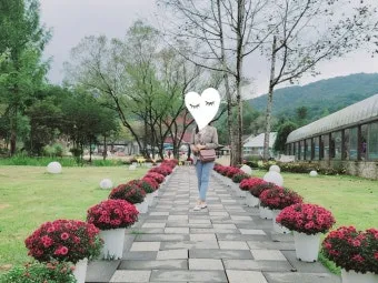 수도권 애견동반 여행지 5선 완벽 가이드 반려견 동반 산책 주말 여행지 추천_13
