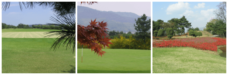 성남 체력단련장 사진 3개