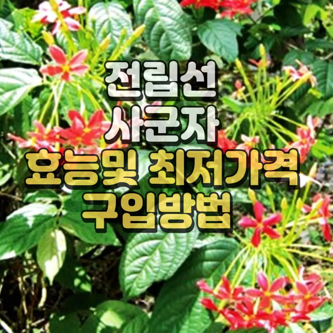 전립선 사군자