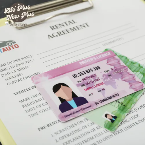 운전면허증 반납하기