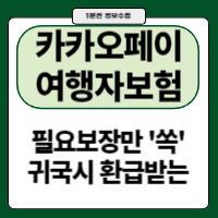 카카오페이 여행자보험 환급