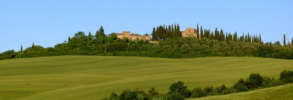 와인 애호가를 위한 와이너리 투어