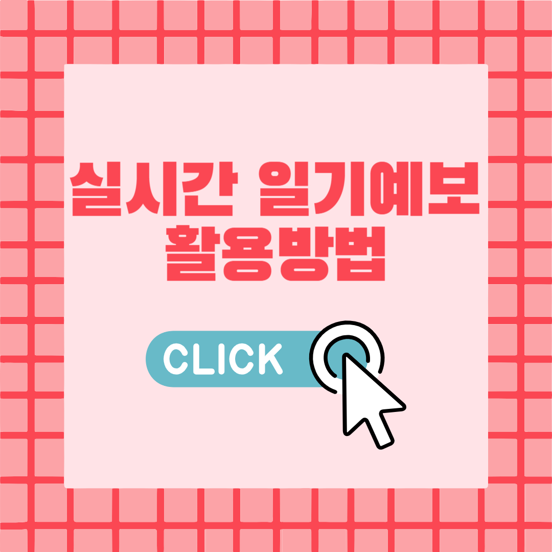 실시간 일기예보