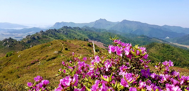 전남 강진 덕룡산 20