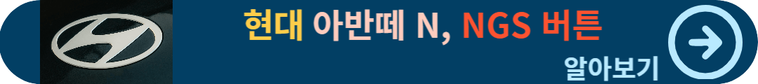 NGS 버튼
