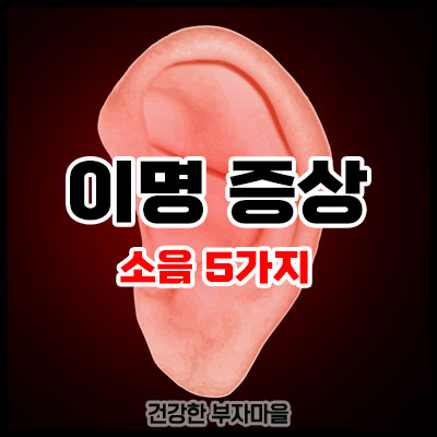 이명 증상