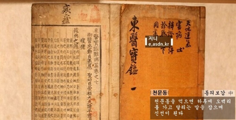 천문동 효능 10가지와 부작용 총정리...약초이야기 육십번째