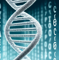축산기사-필기-시험-기출문제-다운로드-단기-공부방법