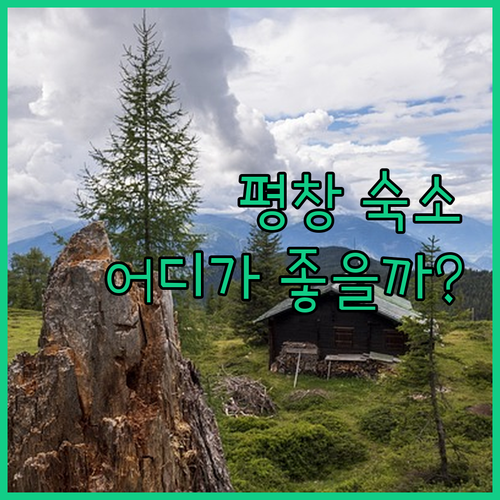 평창 숙소 고민 끝 더화이트호텔 vs