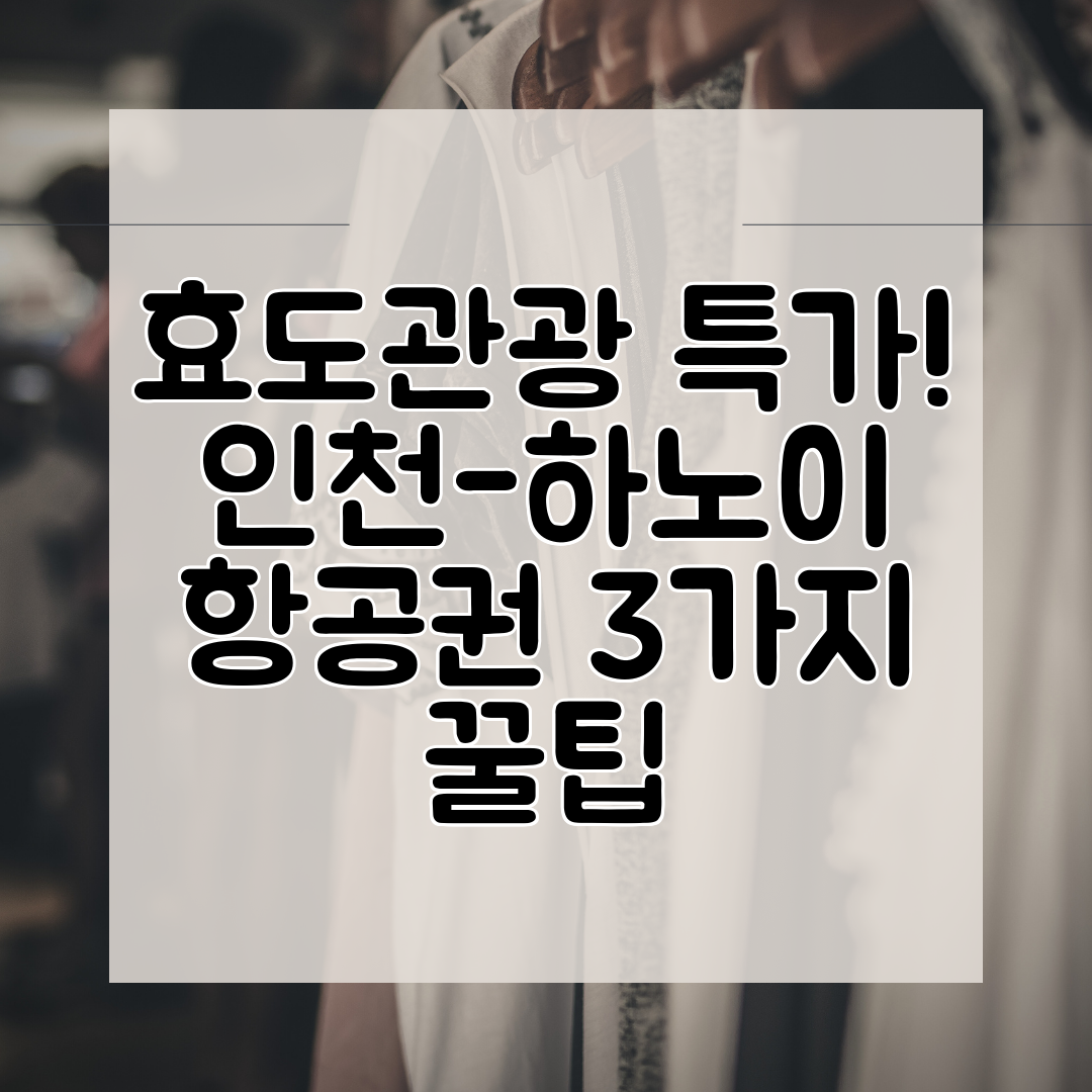 효도관광 특가! 인천-하노이 항공권 3가지 꿀팁