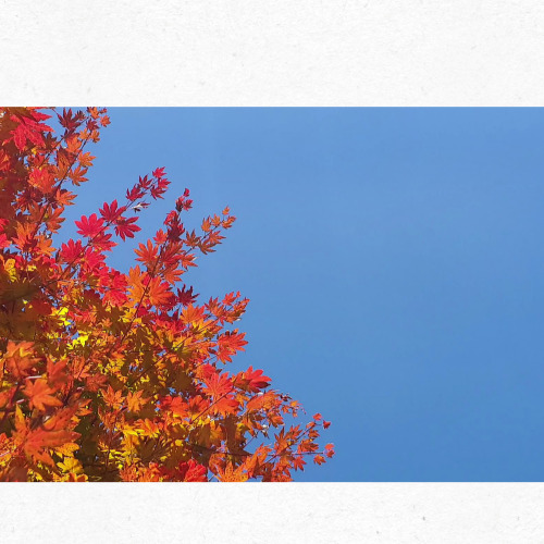 입추를 주제로 한 블랙 앤 화이트 포스터