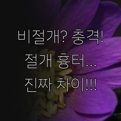 비절개 모발이식 흉터, 절개와 비교하..