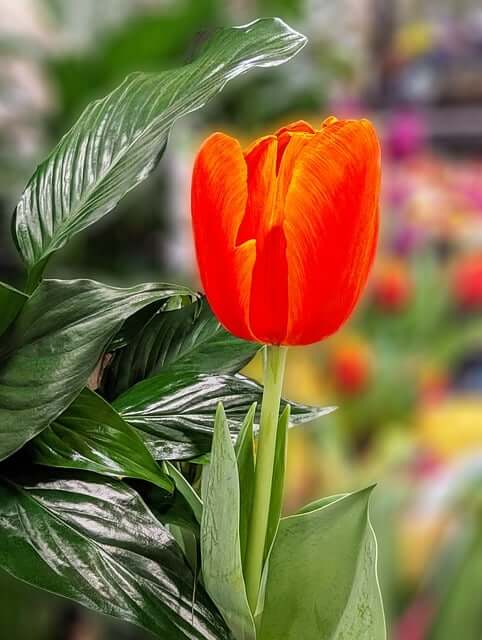 2025년 6모 등급컷 EBSi