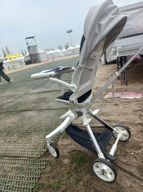 영등포 여의도 봄꽃축제