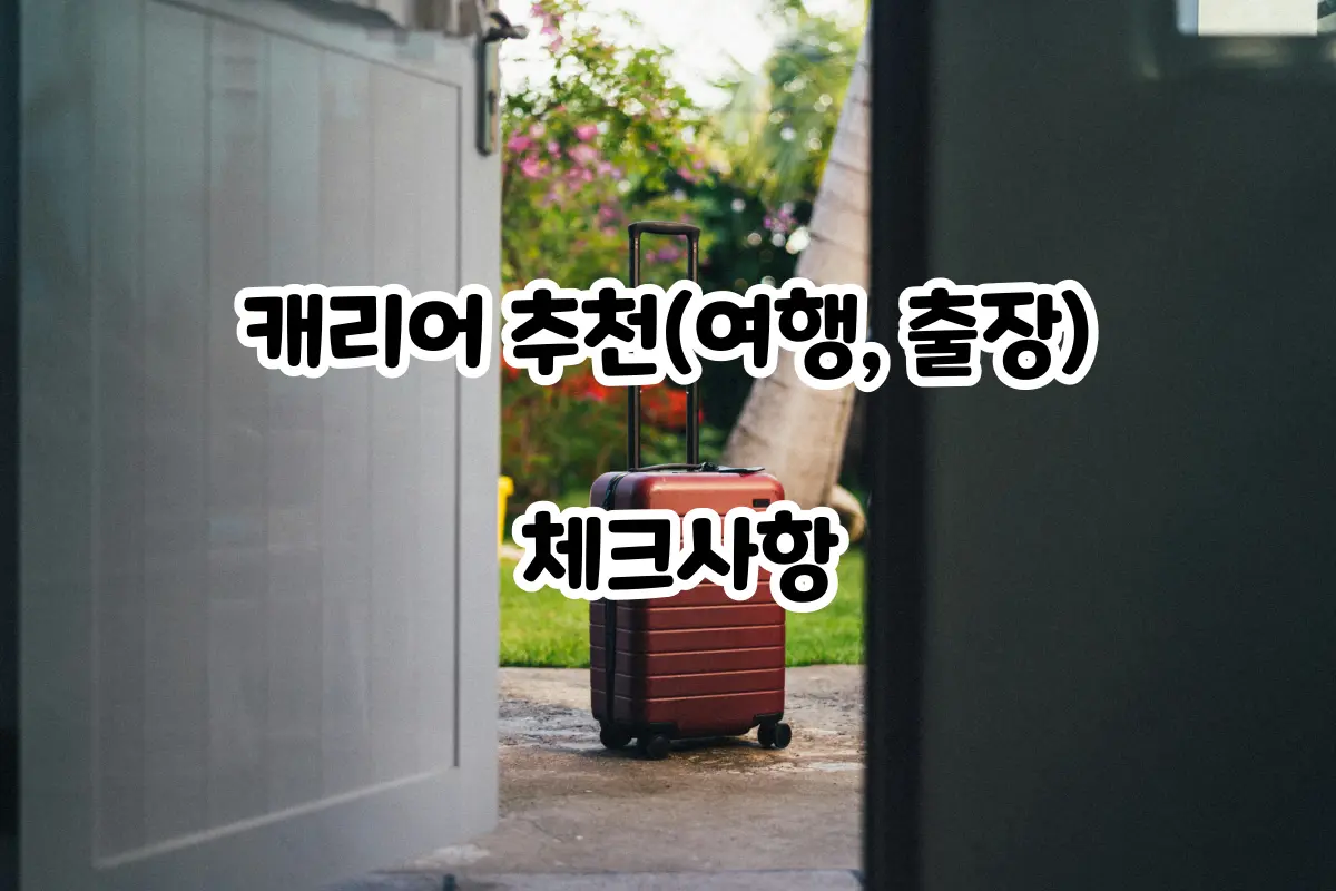 문밖의 캐리어