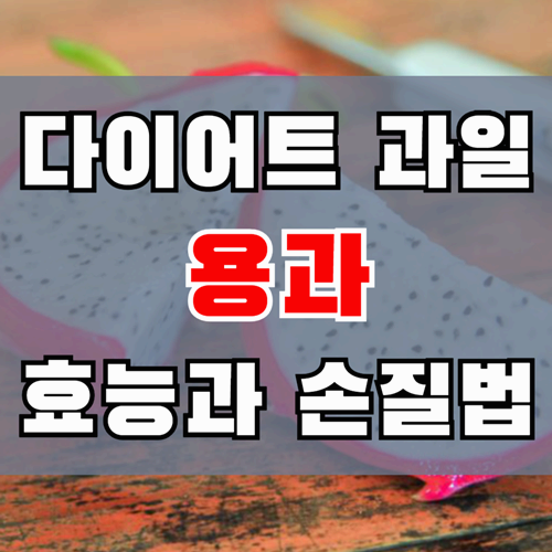 다이어트에 좋은 용과 효능