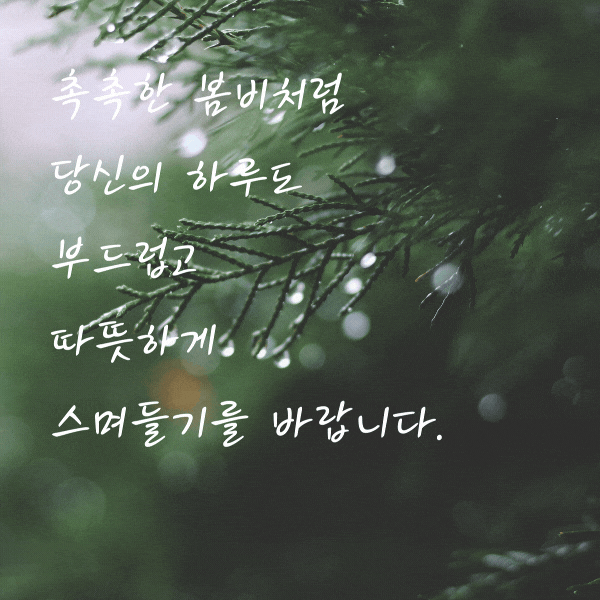 봄비 인사말 비오는 날 인사말 문구 이미지 모음