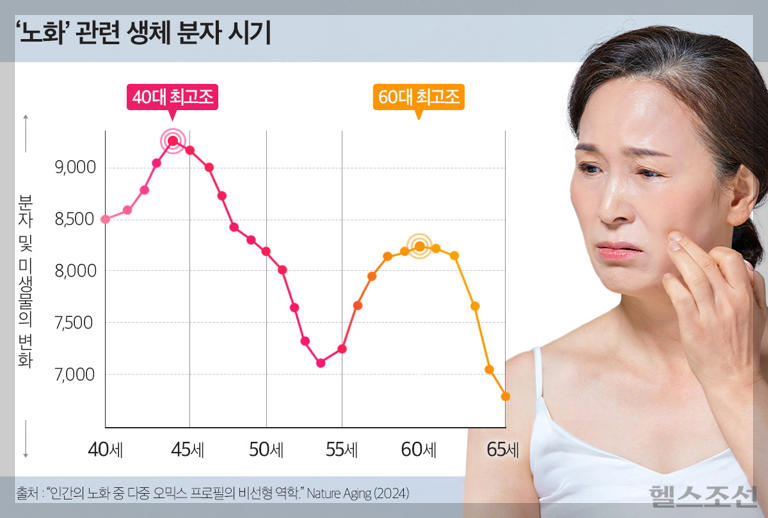노화 피크