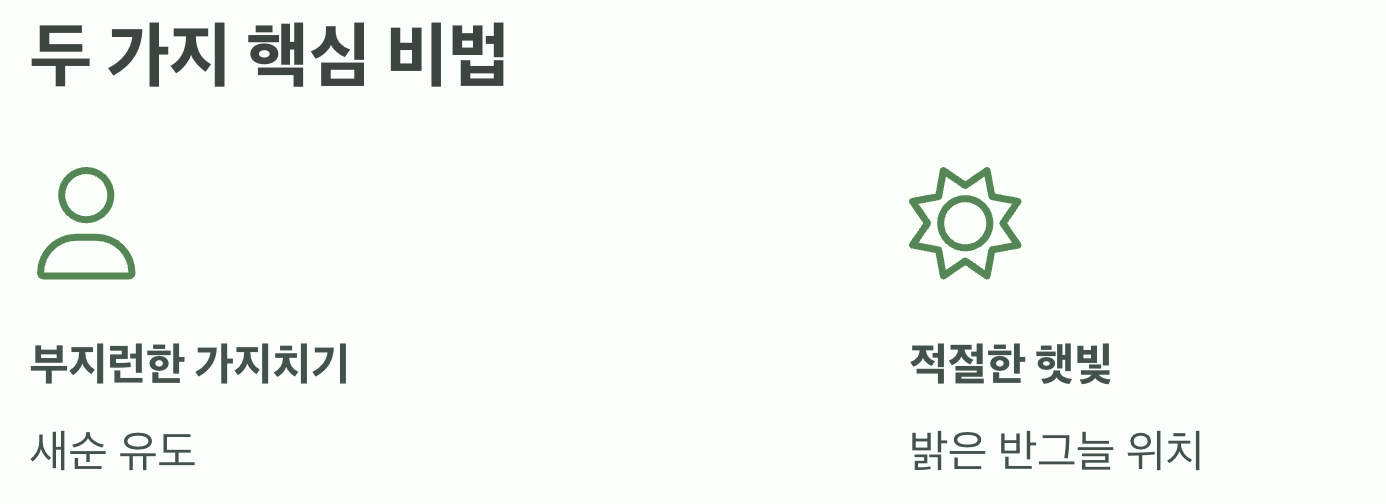 이제 당신의 정원도 핑크빛으로