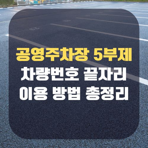 공영주차장 5부제 시행 안내 차량번호 끝자리 숫자 이용 방법