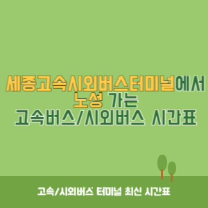 세종고속시외버스터미널에서 노성 가는 고속버스_시외버스&nbsp;시간표