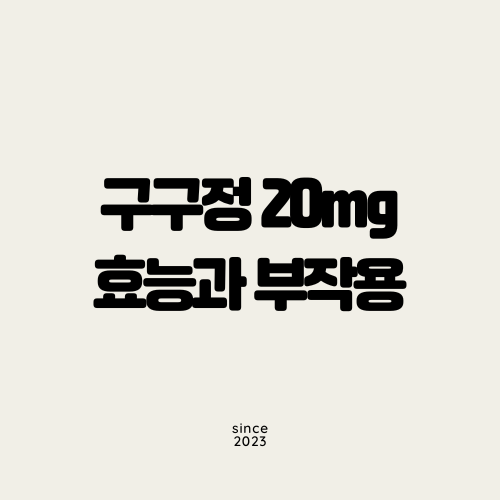 구구정 20mg