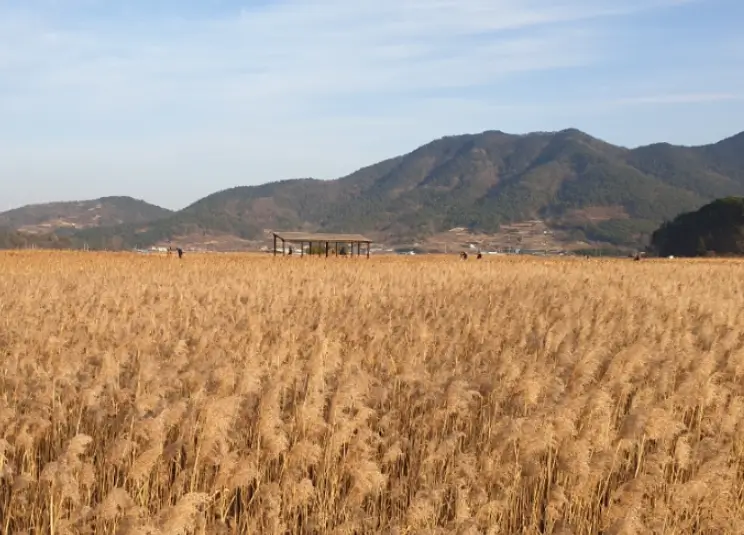 순천만 국가정원