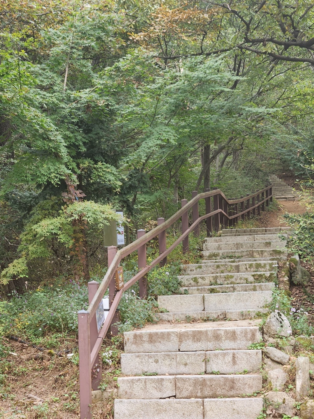 강화마니산등산로