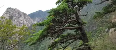 설악 케이블카