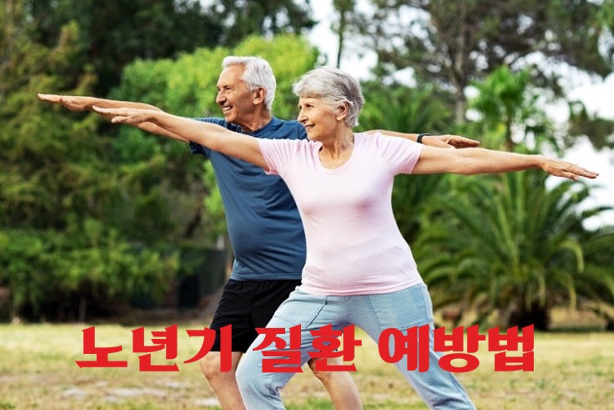 노년기 질환 얘방법