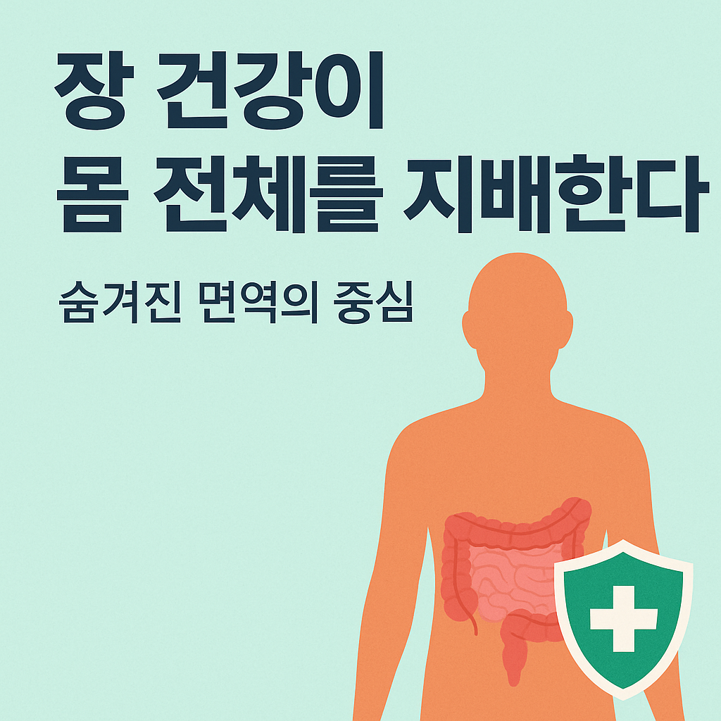 장 건강이 몸 전체를 지배한다: 숨겨진 면역의 중심