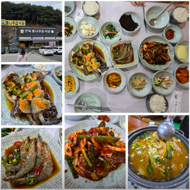 생생정보통 오늘 방송 맛집 타츠진 우동 딴뚝 통나무집 식당 예약 메뉴 가격 특별혜택