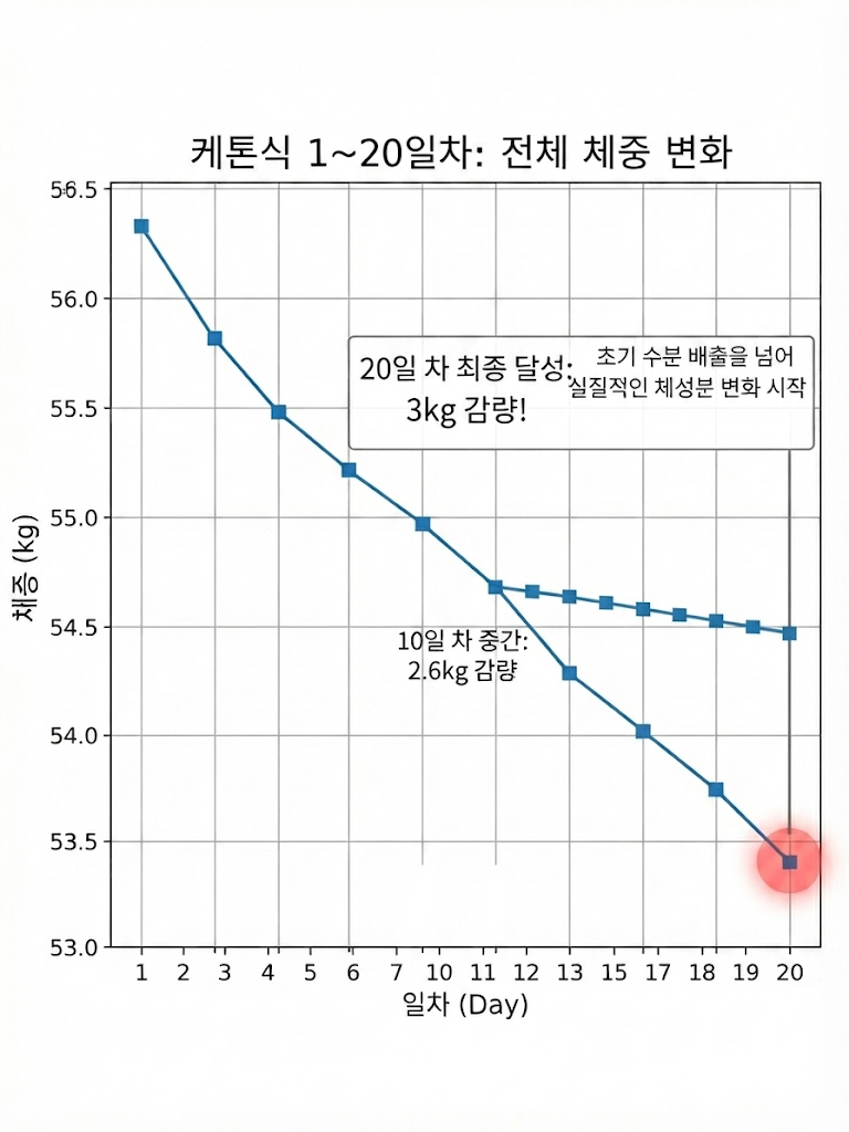 케톤식 체중
